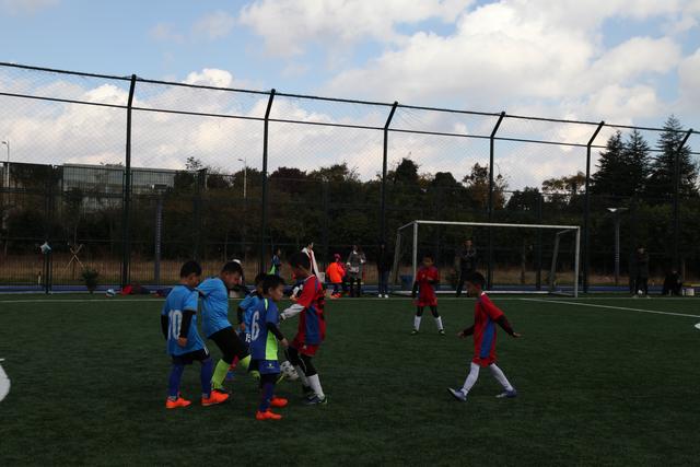 巴黎奥运会男篮半决赛赛程：美国对阵塞尔维亚